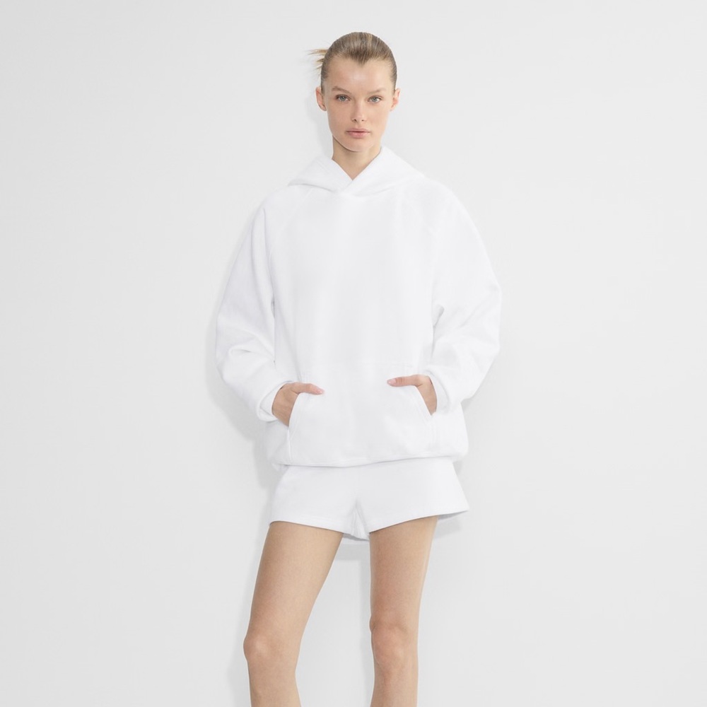 Aritzia Cozy Sweatfleece Mega Raglan™ Hoodie
